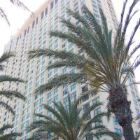 commercial real estate lawyer in el cajon commercial real estate lawyer in el cajon