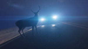 Beware of Deer on California Roads: Ways to Stay Safe as The Days Are Getting Shorter