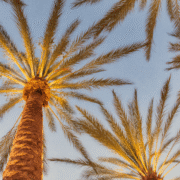 Co-Ownership Agreements: How Can Investors Buying California Rentals Avoid Future Disputes?