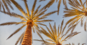 Co-Ownership Agreements: How Can Investors Buying California Rentals Avoid Future Disputes?