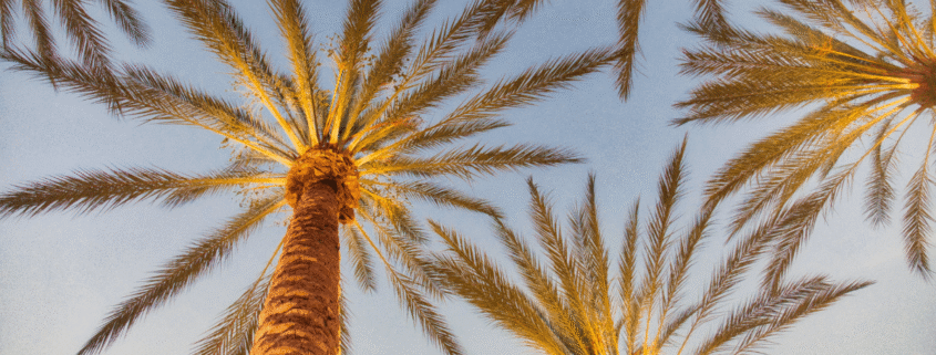 Co-Ownership Agreements: How Can Investors Buying California Rentals Avoid Future Disputes?